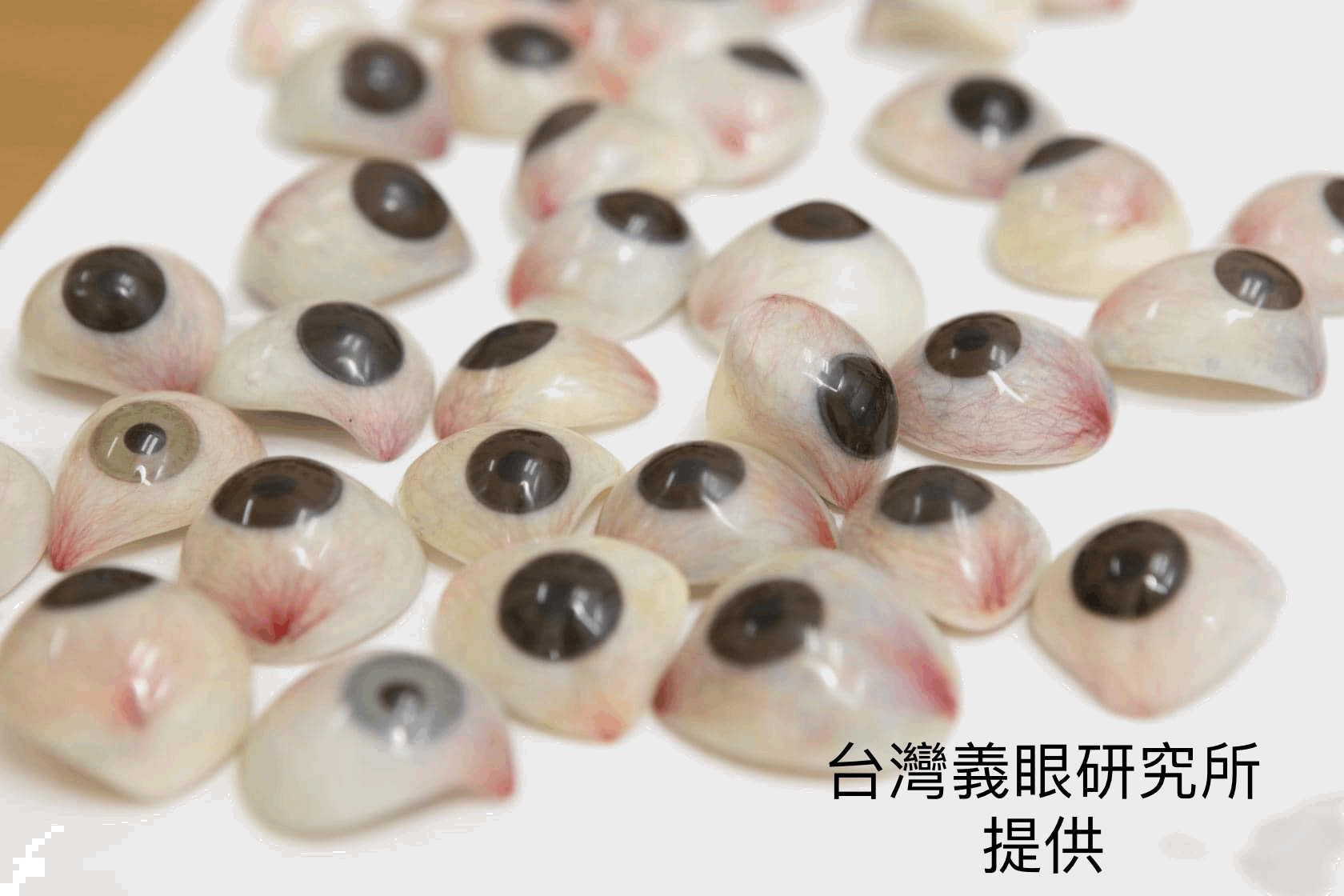 義眼 - 臺北市立聯合醫院視覺復健中心